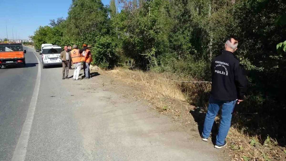 malatyada otomobil kayisi bahcesine uctu 1 yarali N2pxjmBy.jpg