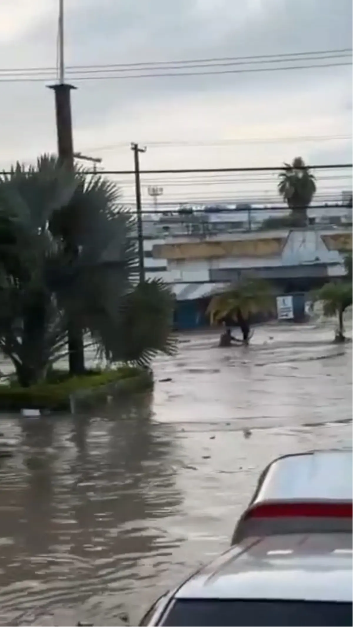 meksikada siddetli yagislar sele neden oldu 41 olu rVmtnnj3.jpg