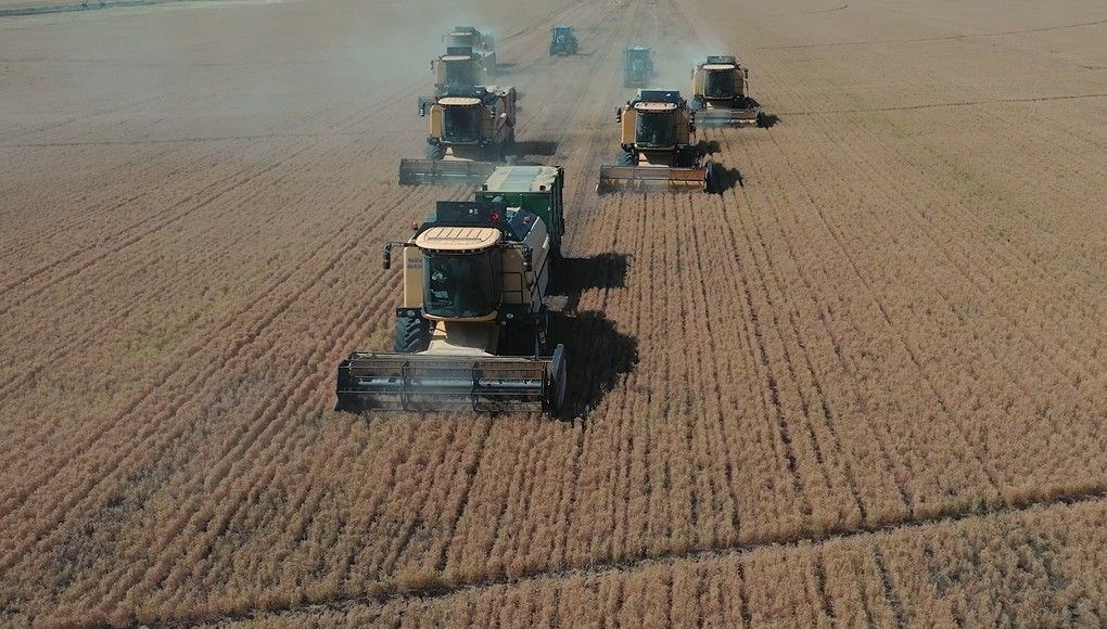 tigem mevsimlik isci alimi basvuru ekrani tarim isletmesi mudurlugu isci alimi kadro dagilimi ve basvuru sartlari XihDbAel