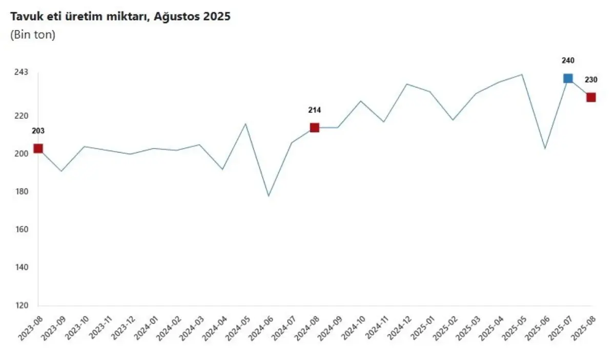 tuik agustosta tavuk eti uretimi dustu sut ve yumurtada artis 7rZYhSW9.jpg
