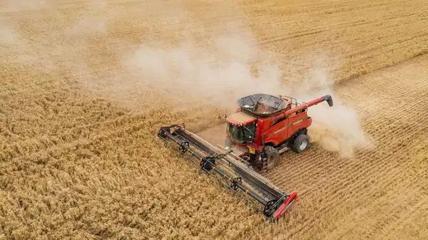 tuik eylul verilerini acikladi tarimda uretici fiyatlari yukseldi QPYb25nI.jpg