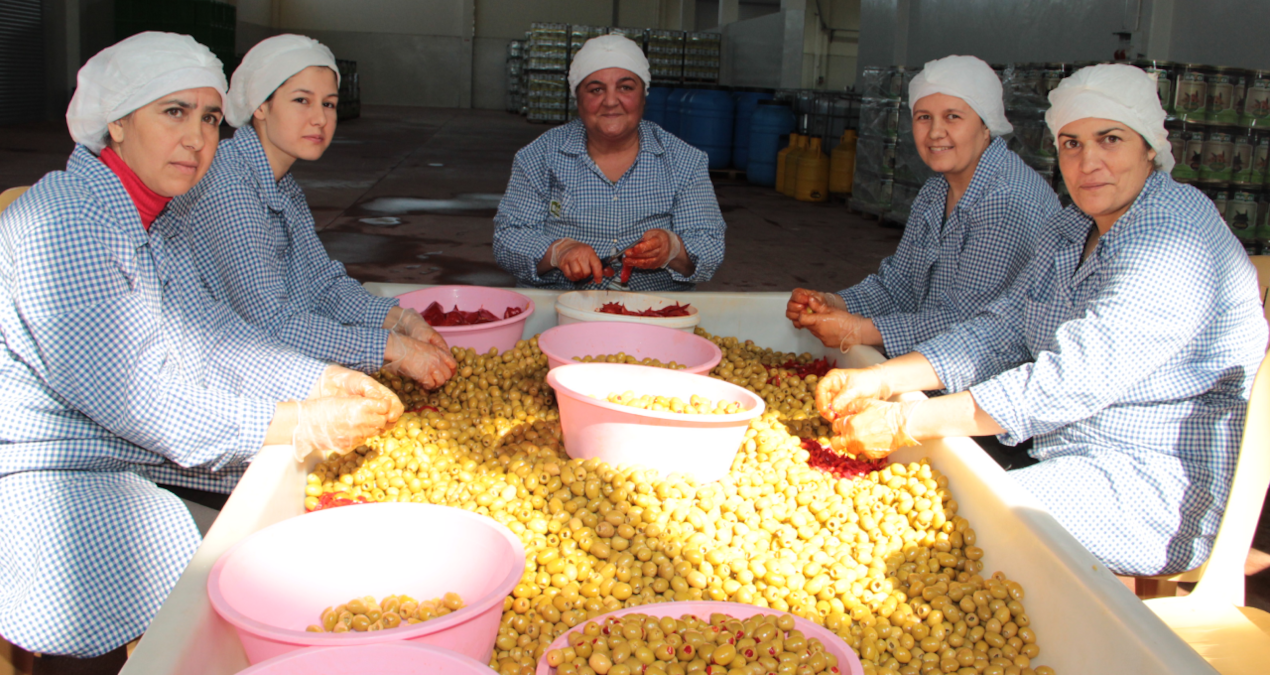 yesil zeytin ihracatinda tarihi rekor kirildi 5xmGk1kE
